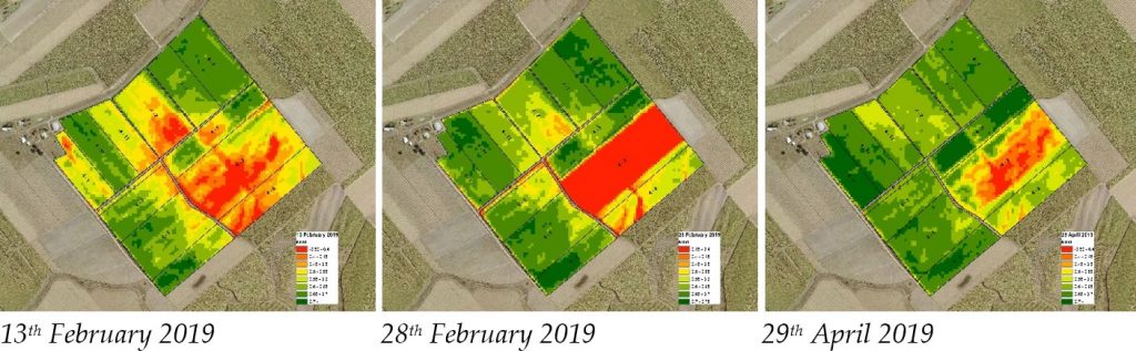 What Is Ponte Leggings  International Society of Precision Agriculture