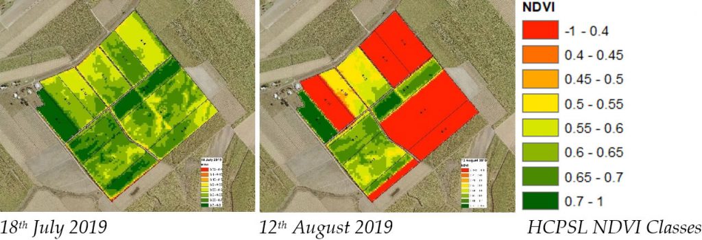 What Is Ponte Leggings  International Society of Precision Agriculture